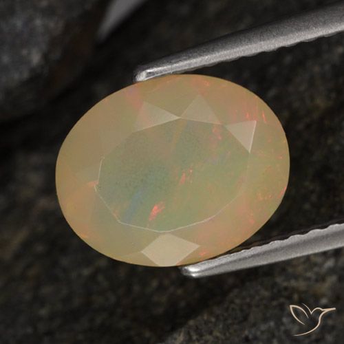 1.45ct Natural Multicolor Ópalo, Ovalada, Translúcido