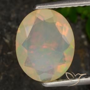 Ópalo Multicolor natural de 1.27 ct, Ovalada, Translúcido