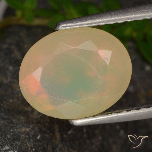 1.54ct Natural Multicolor Ópalo, Ovalada, Translúcido