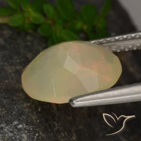 Ópalo Multicolor natural de 1.54 ct, Ovalada, Translúcido