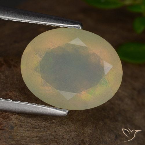 1.42ct Natural Multicolor Ópalo, Ovalada, Translúcido