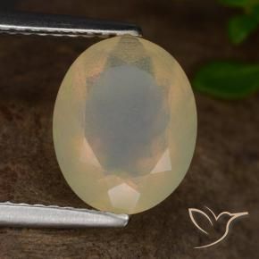 Ópalo Multicolor natural de 1.42 ct, Ovalada, Translúcido