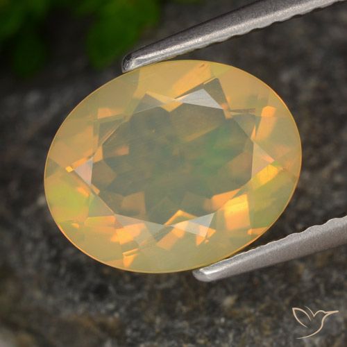 1.54ct Natural Multicolor Ópalo, Ovalada, Transparente