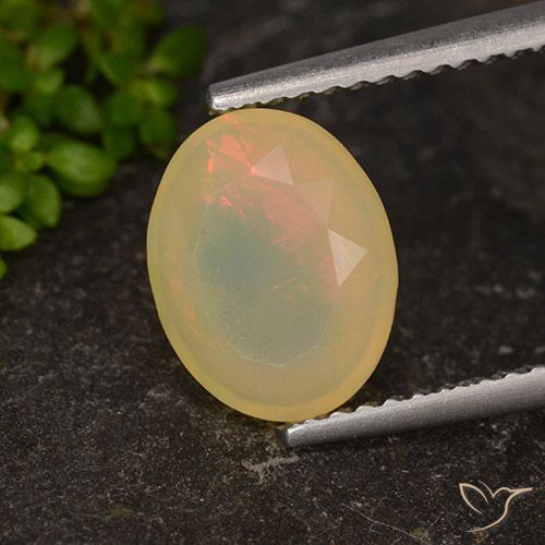 1.34ct Natural Multicolor Ópalo, Ovalada, Translúcido
