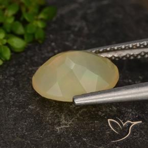 Ópalo Multicolor natural de 1.34 ct, Ovalada, Translúcido