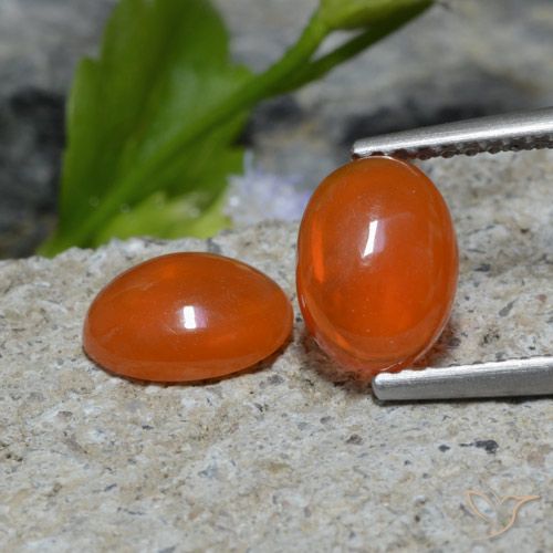 1.37ctw Natural Naranja rojizo oscuro Ópalo, Ovalada, Transparente