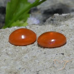 Gemas de Ópalo Naranja rojizo oscuro natural de 1.37 ct, Ovalada, Transparente