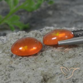 Gemas de Ópalo Naranja rojizo oscuro natural de 1.41 ct, Ovalada, Transparente