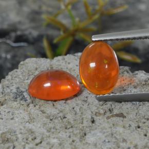 Gemas de Ópalo Naranja natural de 1.35 ct, Corte Óvalo, Transparente