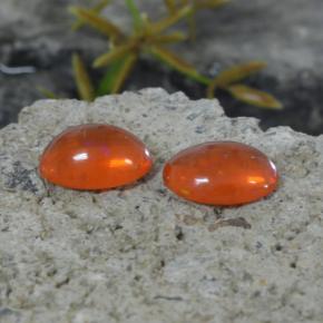 Gemas de Ópalo Naranja natural de 1.35 ct, Corte Óvalo, Transparente