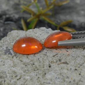 Gemas de Ópalo Naranja natural de 1.35 ct, Corte Óvalo, Transparente