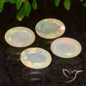 Gemas de Ópalo Multicolor natural de 1.23 ct, Ovalada, Transparente