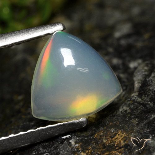 1.00ct Natural Multicolor Ópalo, Trillón, Transparente