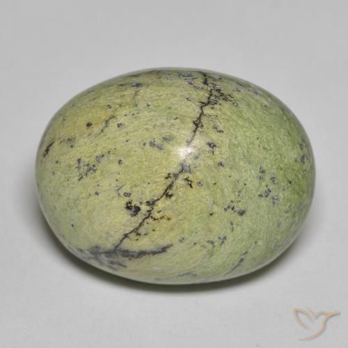 Ópalo Verde terroso natural de 15.66 ct, Ovalada, Opaco