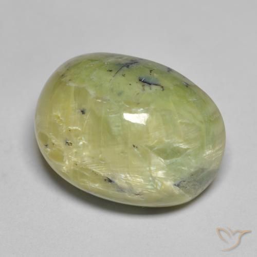 Ópalo Verde amarillento natural de 16.50 ct, Ovalada, Opaco