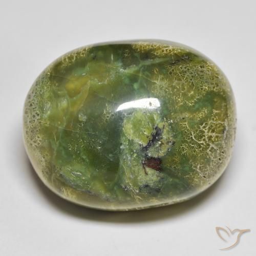 51.20ct Natural Verde cálido Ópalo, Ovalada, Opaco