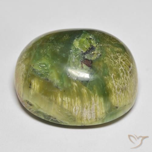 Ópalo Verde cálido natural de 51.20 ct, Ovalada, Opaco