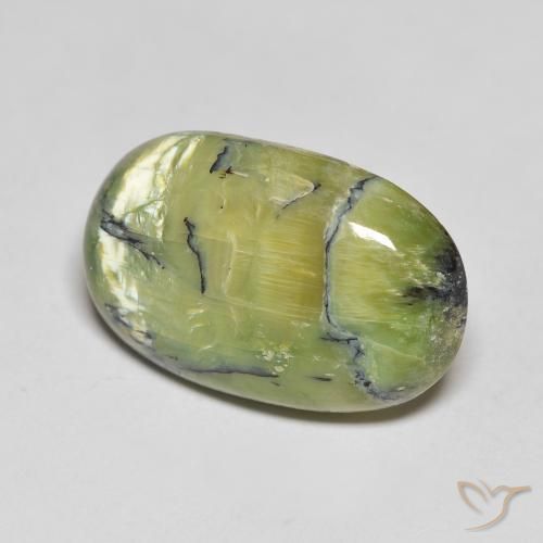 Ópalo Verde cálido natural de 10.83 ct, Ovalada, Opaco