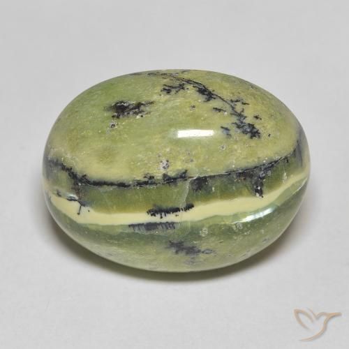 11.81ct Natural Verde terroso Ópalo, Ovalada, Opaco