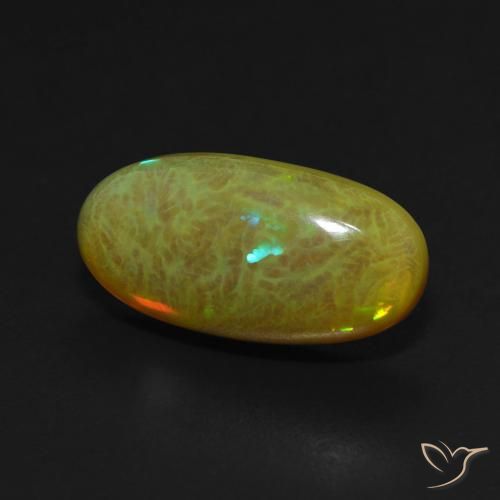 Ópalo Multicolor natural de 4.63 ct, Ovalada, Translúcido