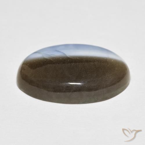 Ópalo Multicolor natural de 24.39 ct, Ovalada, Opaco