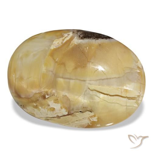 Ópalo dorado natural de 31,48 ct, corte óvalo, opaco