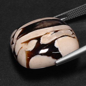 Maní Madera Multicolor natural de 25.88 ct, Corte Cojín, Opaco