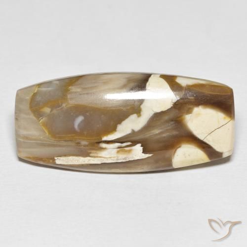 31.21ct Natural Multicolor Maní Madera, Forma Cojín, Opaco