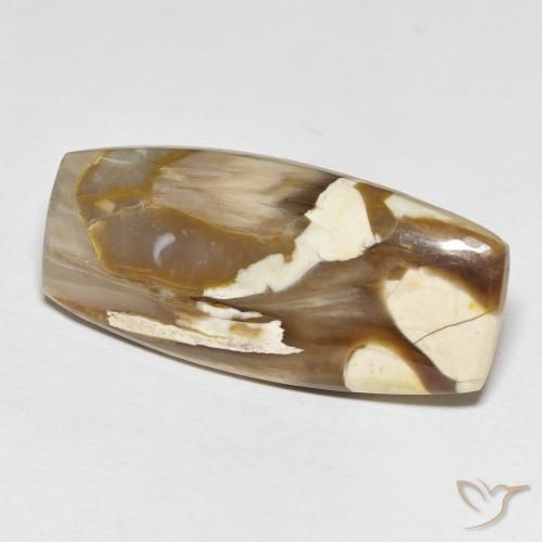 Maní Madera Multicolor natural de 31.21 ct, Forma Cojín, Opaco