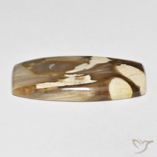 Maní Madera Multicolor natural de 31.21 ct, Forma Cojín, Opaco