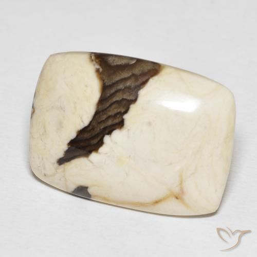 Maní Madera Multicolor natural de 21.18 ct, Forma Cojín, Opaco