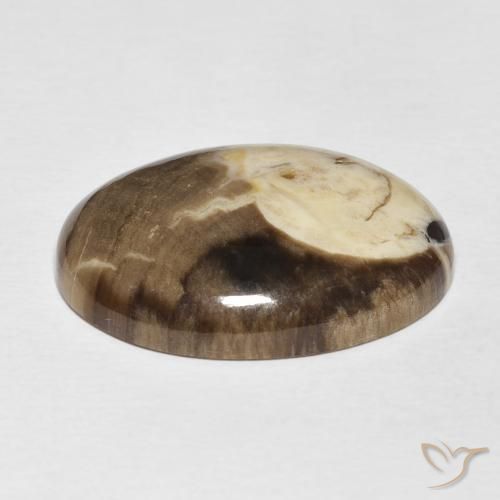 Maní Madera Multicolor natural de 20.56 ct, Ovalada, Opaco