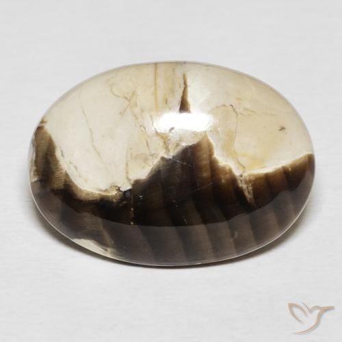 15.62ct Natural Multicolor Maní Madera, Ovalada, Opaco