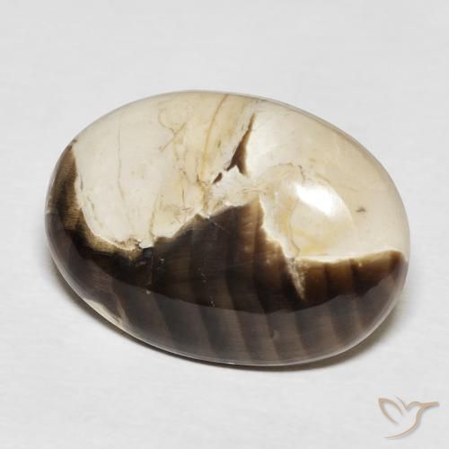 Maní Madera Multicolor natural de 15.62 ct, Ovalada, Opaco