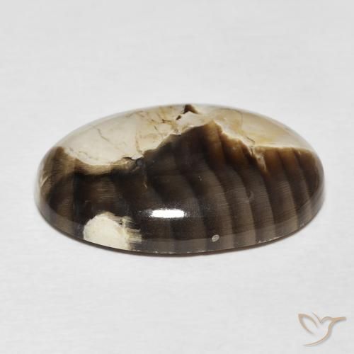 Maní Madera Multicolor natural de 15.62 ct, Ovalada, Opaco