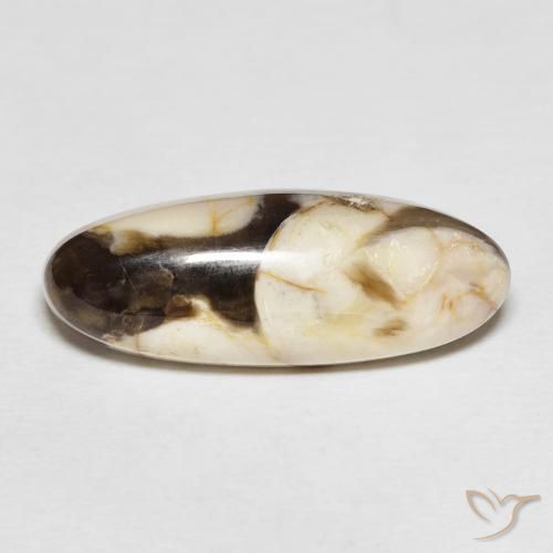 12.85ct Natural Multicolor Maní Madera, Ovalada, Opaco