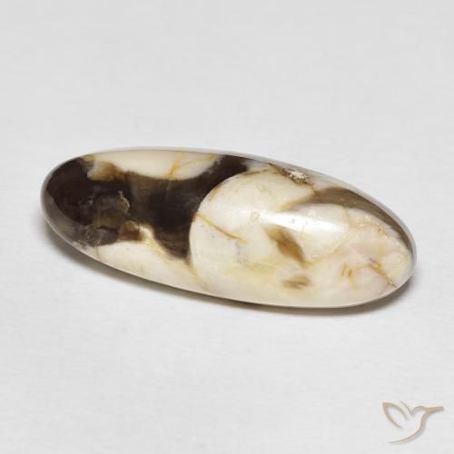 Maní Madera Multicolor natural de 12.85 ct, Ovalada, Opaco