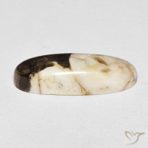 Maní Madera Multicolor natural de 12.85 ct, Ovalada, Opaco