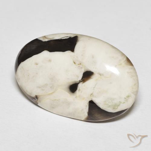 Maní Madera Multicolor natural de 22.29 ct, Ovalada, Opaco