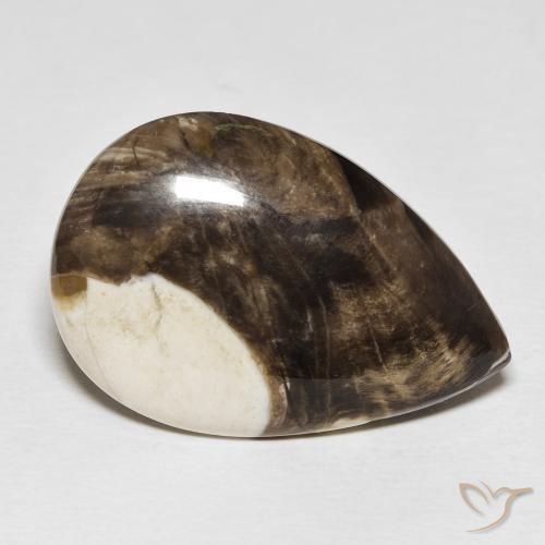 Maní Madera Multicolor natural de 25.19 ct, En forma de pera, Opaco