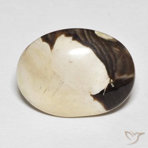19.54ct Natural Multicolor Maní Madera, Ovalada, Opaco