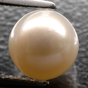Perla crema natural de 2,52 ct, esfera / bola, opaco