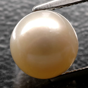 Perla crema natural de 2,52 ct, esfera / bola, opaco