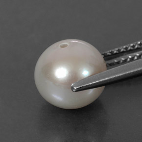 Perla crema natural de 3,60 ct, esfera / bola, opaco