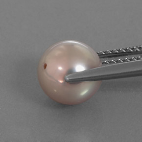 Perla gris natural de 3,53 ct, esfera / bola, opaco