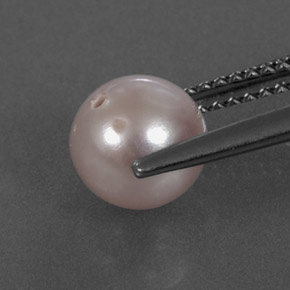 Perla rosa natural de 2,43 ct, esfera / bola, opaco