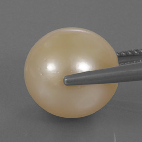 Perla amarillo natural de 14,95 ct, esfera / bola, opaco