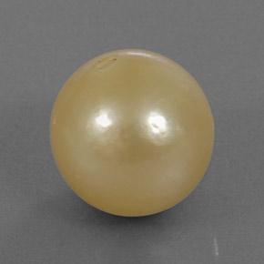 Perla dorado natural de 13,25 ct, esfera / bola, opaco