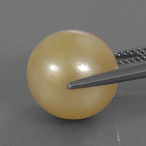 Perla dorado natural de 13,25 ct, esfera / bola, opaco