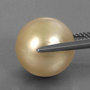 Perla amarillo natural de 14,91 ct, esfera / bola, opaco